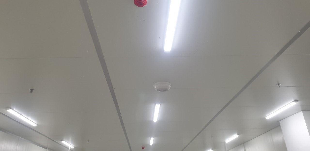 z3881514904962_b5f96d3f974d57aa0ad9bc390c3b553e