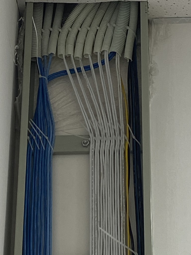 z2305580229567_d939483998c149e19801850ebc1e633f