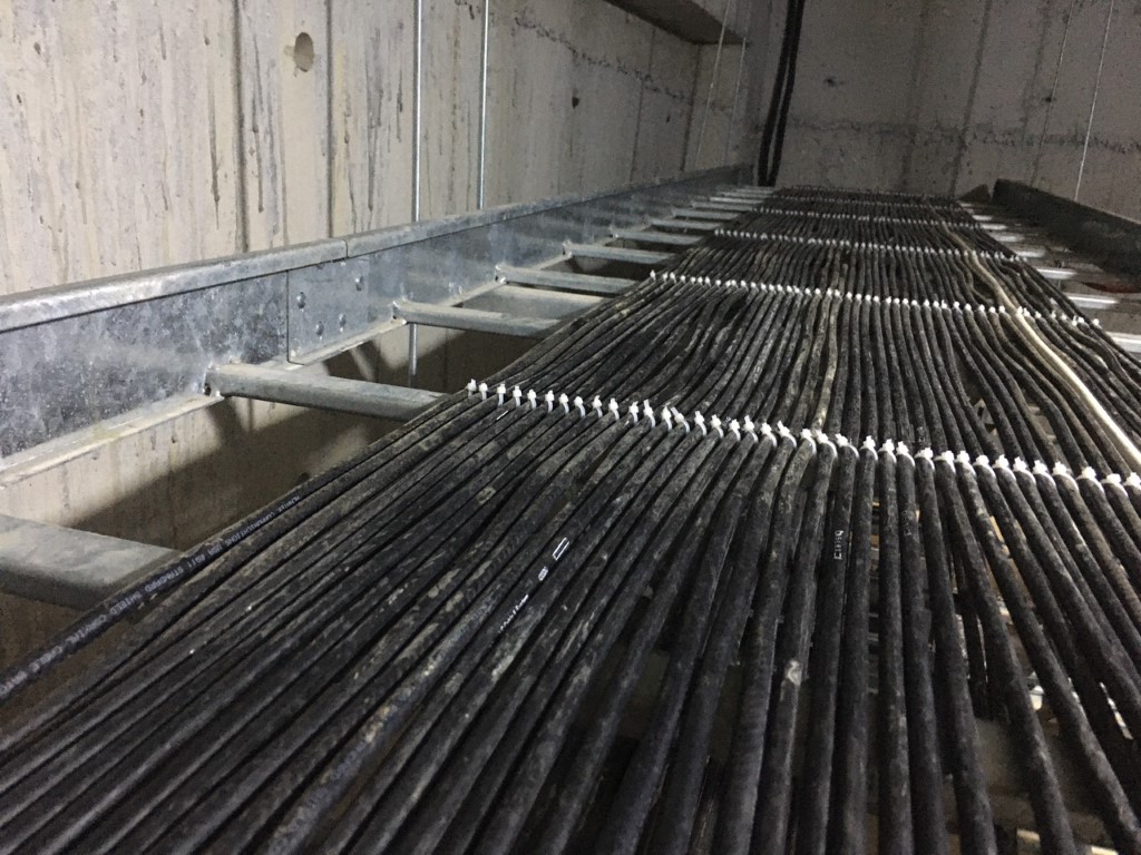 z2136912788580_59cdc142a1cc5bd79a3bc4ebd332b14a